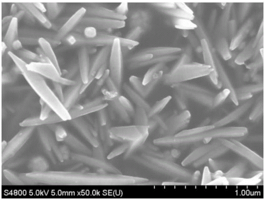 A kind of conical titanium dioxide nanorod and preparation method thereof