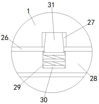 A biological fluid sample quantitative detection device