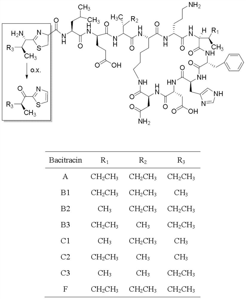 A high-performance liquid chromatography method for analyzing bacitracin components