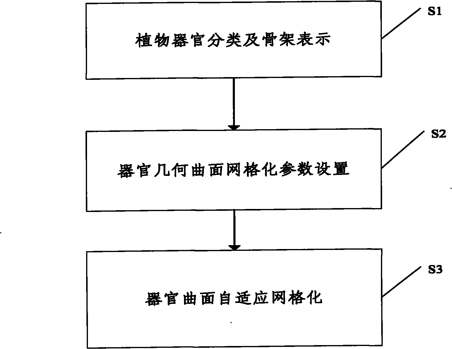 Self-adaptive gridding method and self-adaptive gridding system of geometric curved surfaces of three-dimensional plant organs