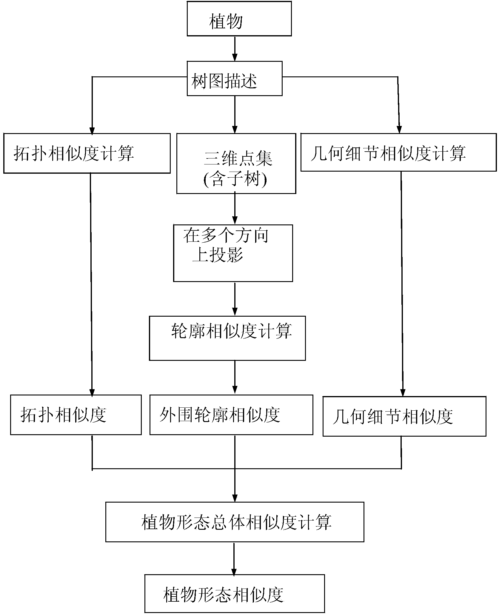 Computer method for comparing similarity of different plant forms