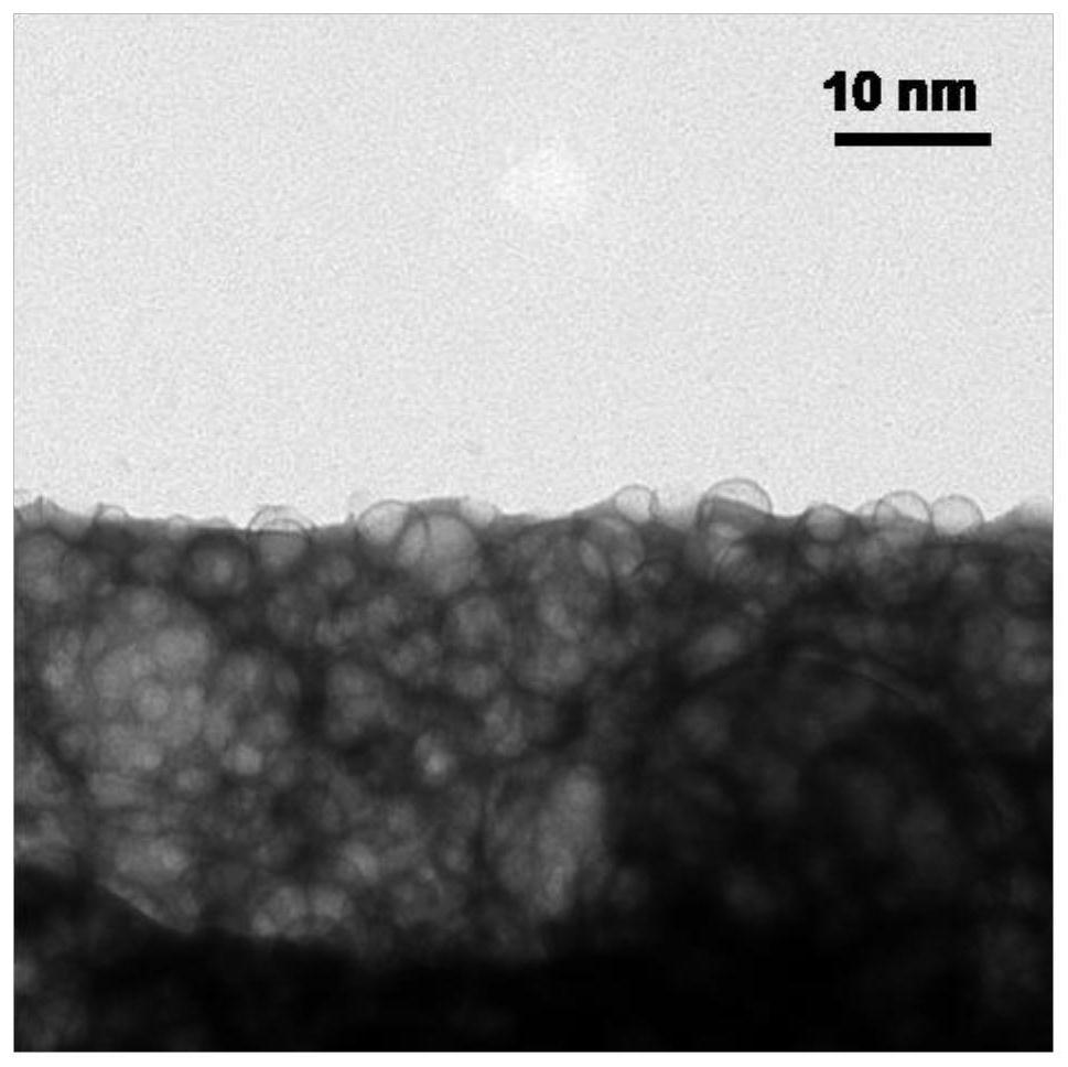 A bioaccumulation preparation method of transition metal monoatomic carbon materials