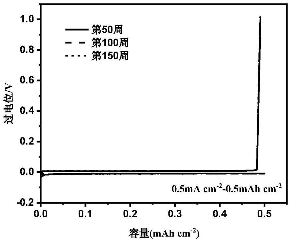 A kind of negative electrode current collector of lithium metal secondary battery and preparation method thereof