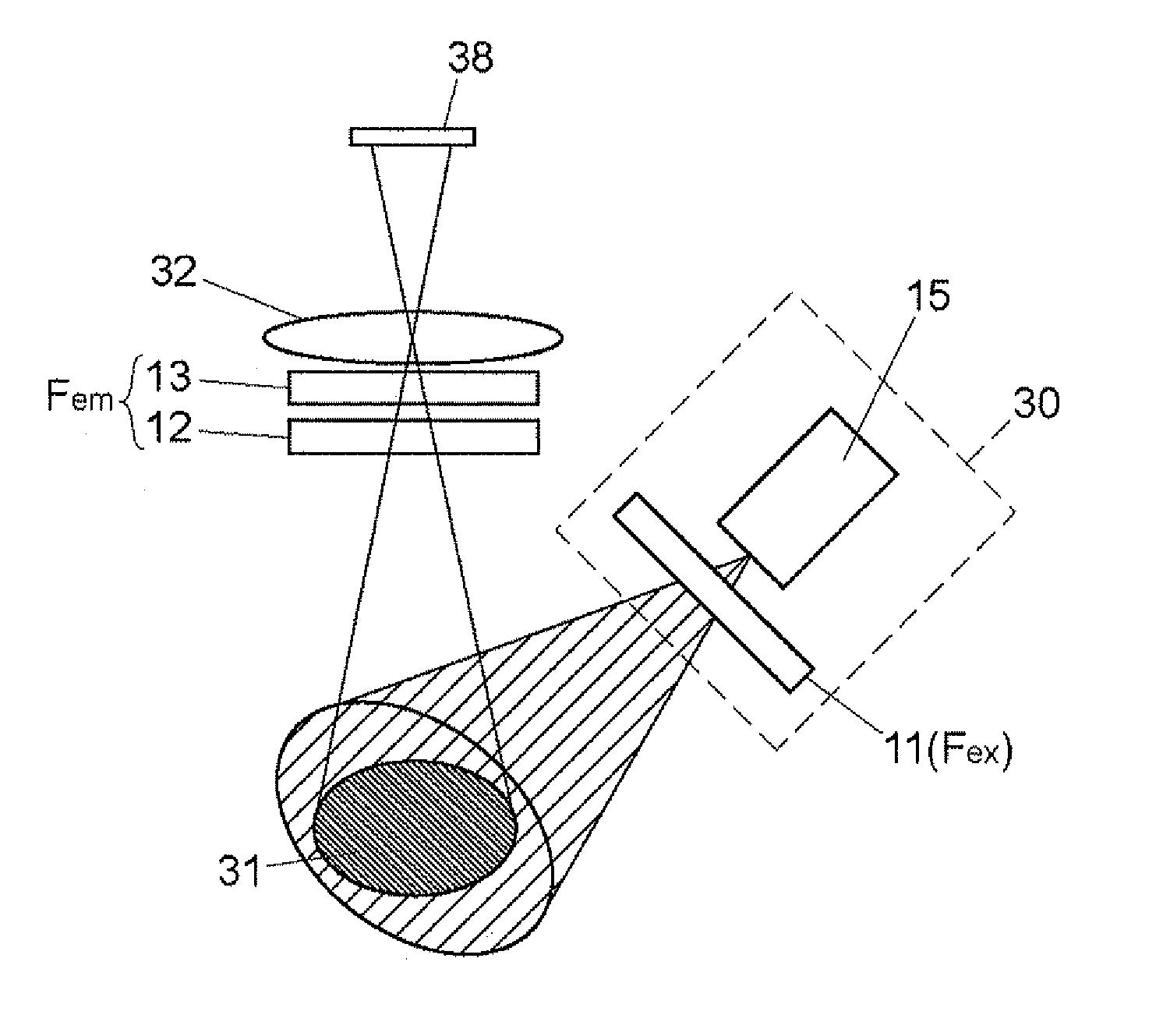 Fluorescence Imaging Apparatus and Method for Detecting Fluorescent Image