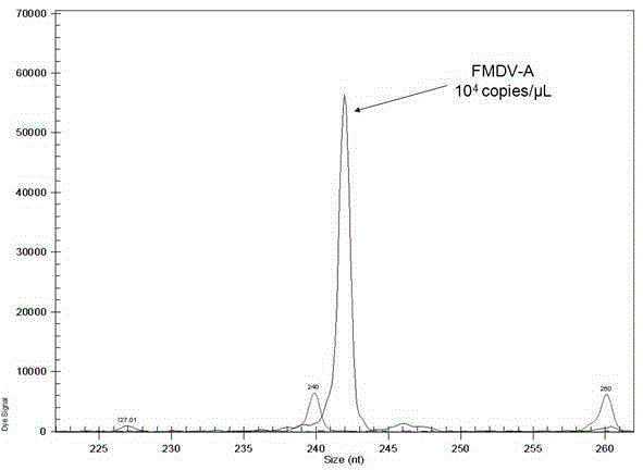 Kit and preparation method for detecting foot-and-mouth disease type a, type o and asia 1 virus