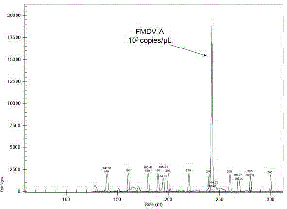 Kit and preparation method for detecting foot-and-mouth disease type a, type o and asia 1 virus