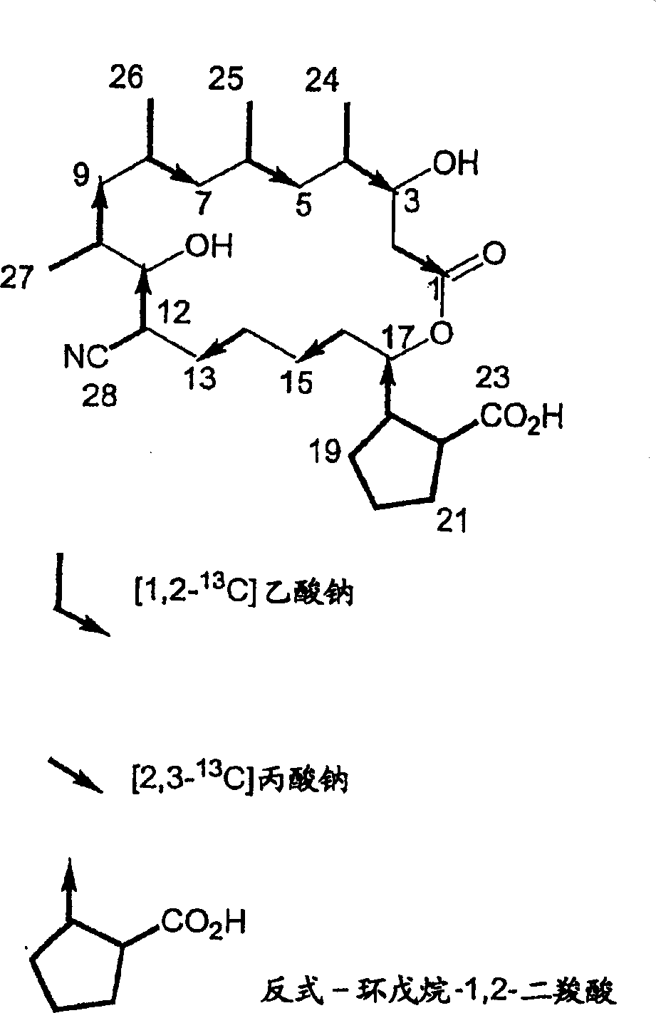 Borrelidin-producing polyketide synthase and its use