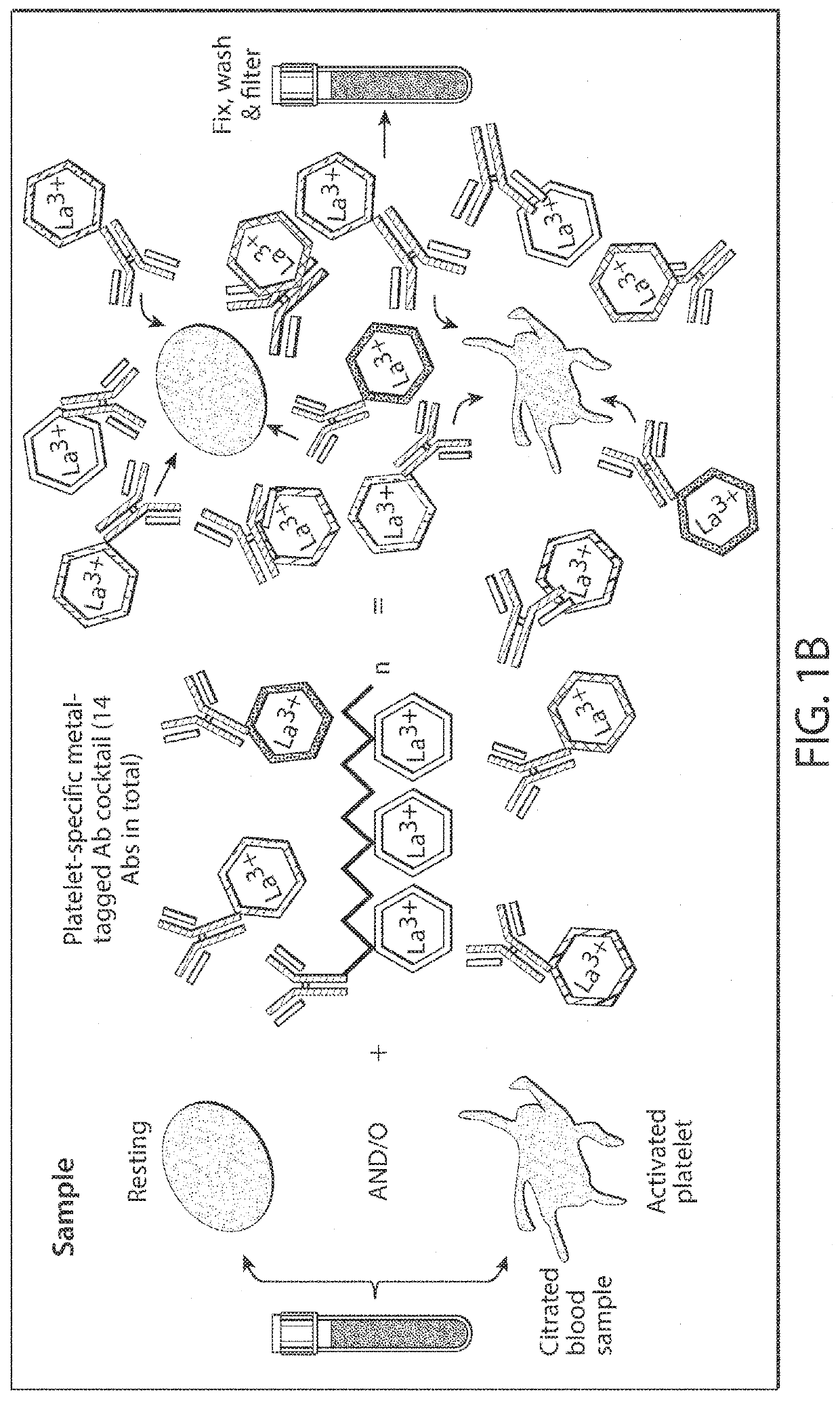 Methods and compositions for analyzing platelets by mass cytometry