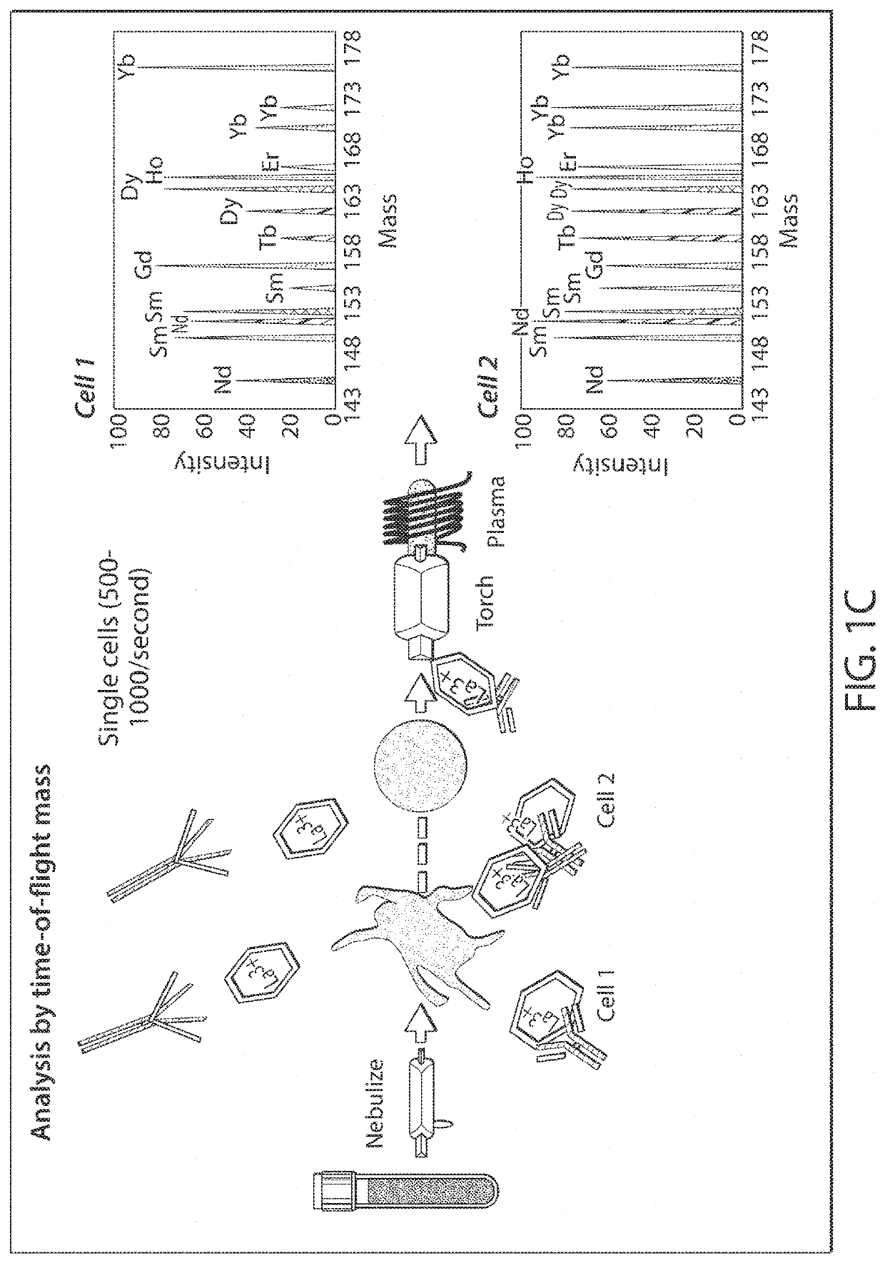 Methods and compositions for analyzing platelets by mass cytometry
