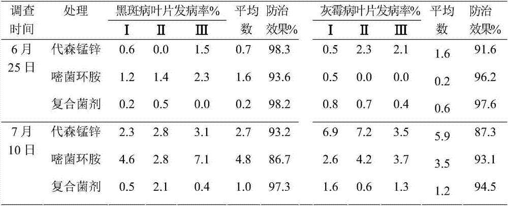 Bacillus composition for control of panax ginseng and American ginseng black spot disease and botrytis cinerea and use thereof