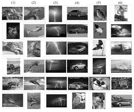 Semi-supervised image clustering subspace learning algorithm based on local linear regression