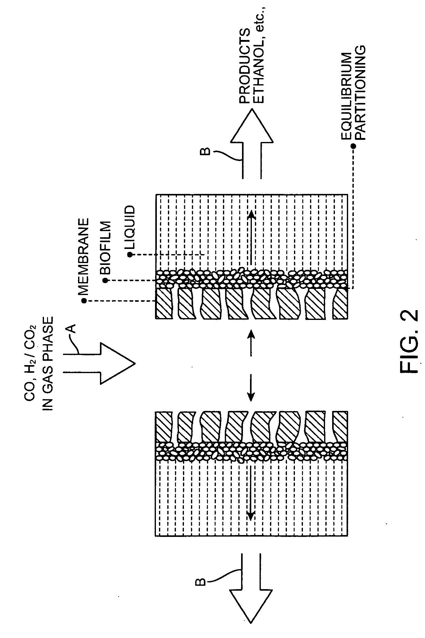 Process to sequence bioreactor modules for serial gas flow and uniform gas velocity