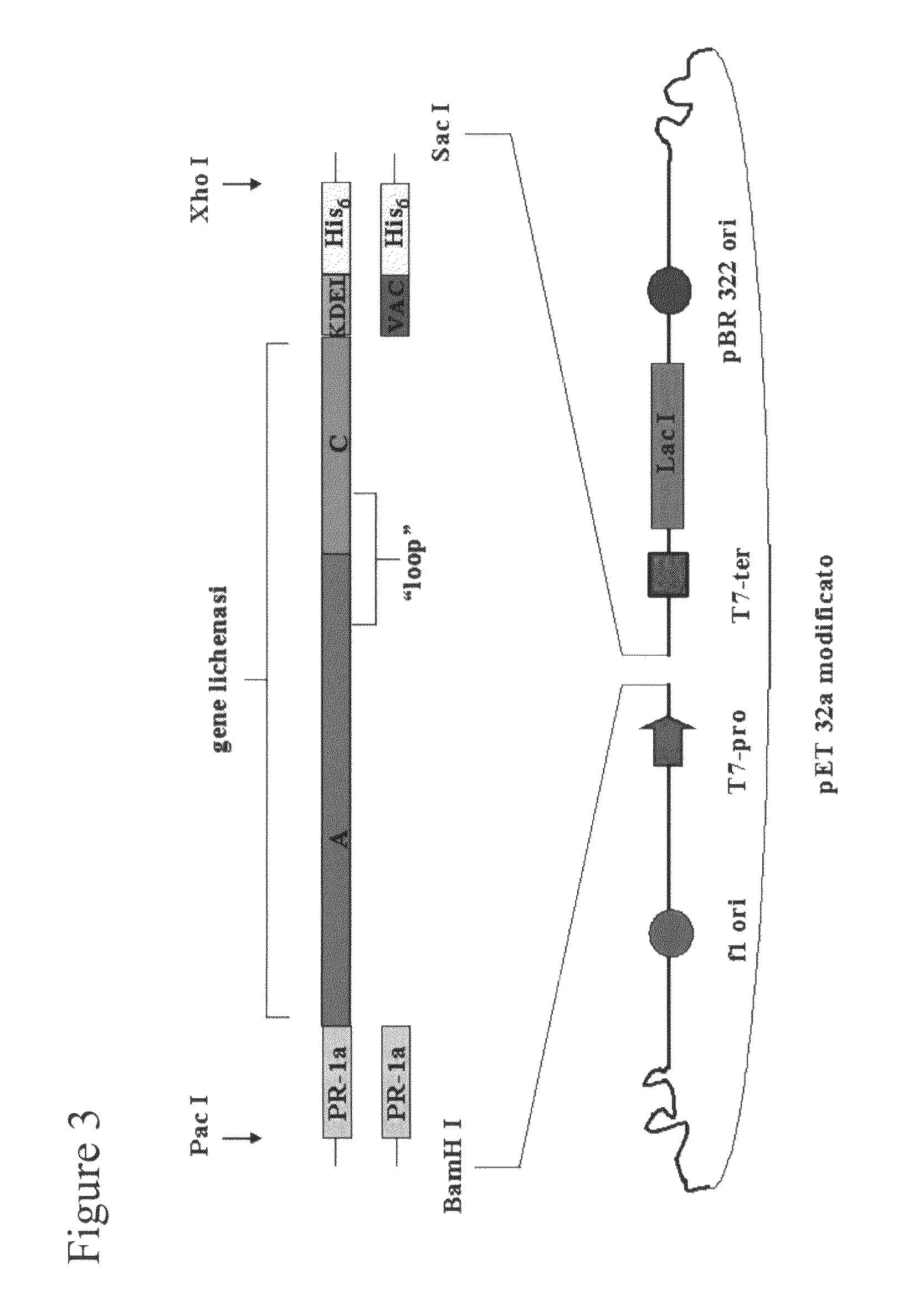 Influenza antigens, vaccine compositions, and related methods