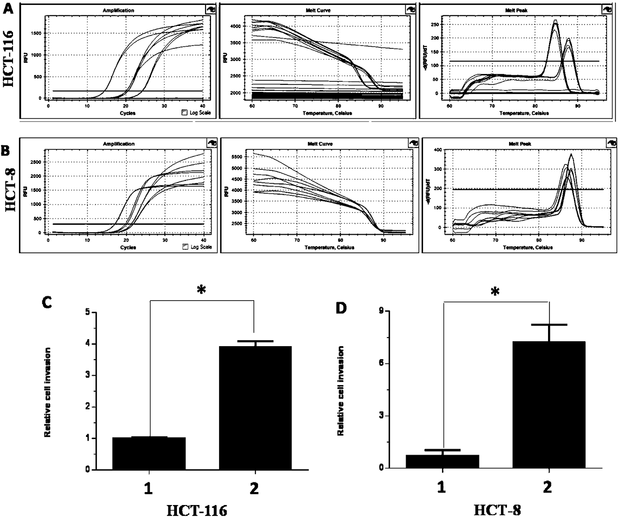 Experimental method for promoting growth and metastasis of colon cancer cells by lentivirus overexpression vector mediated E6-AP