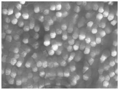 Heat and moisture responsive fiber with light-to-heat conversion and antibacterial properties and preparation method thereof