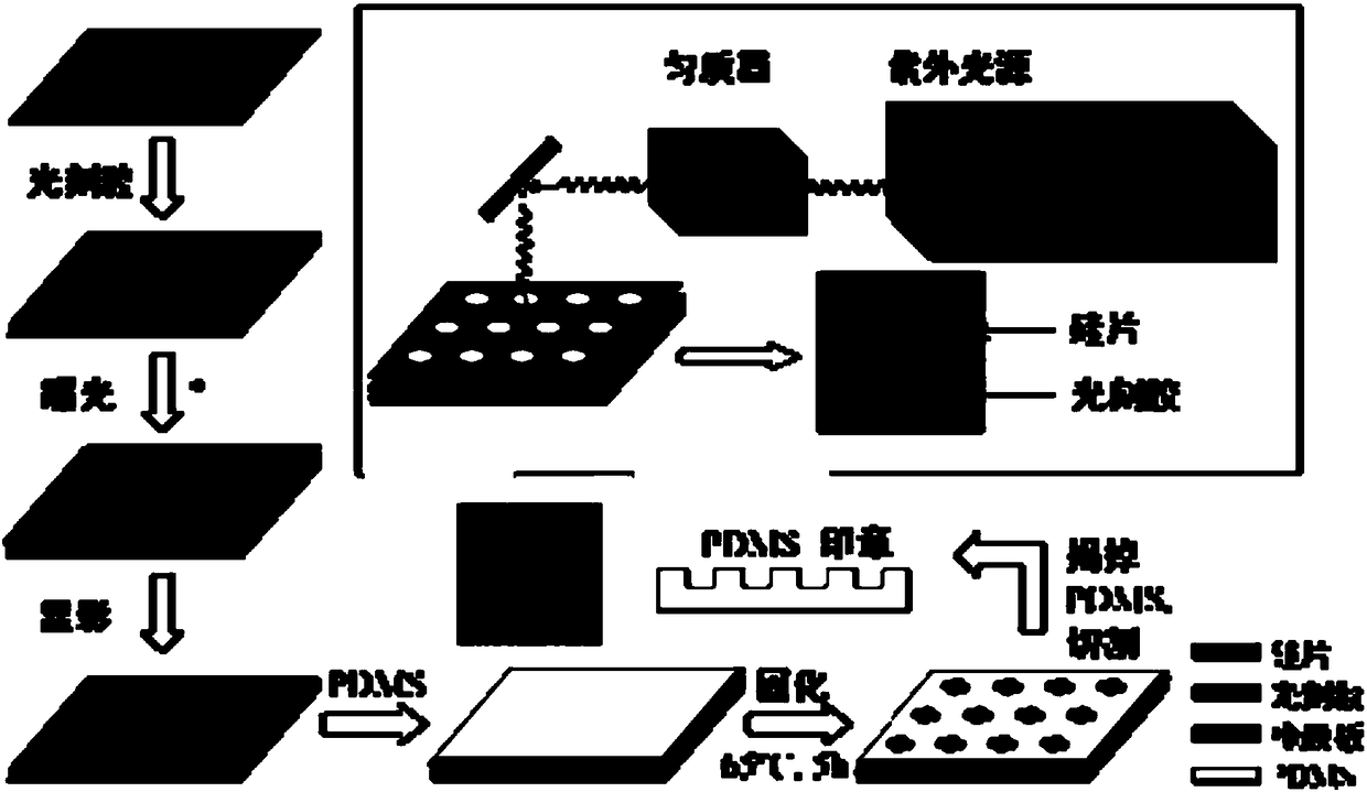 3D cell culture chip based on soft lithography as well as preparation method and application of 3D cell culture chip