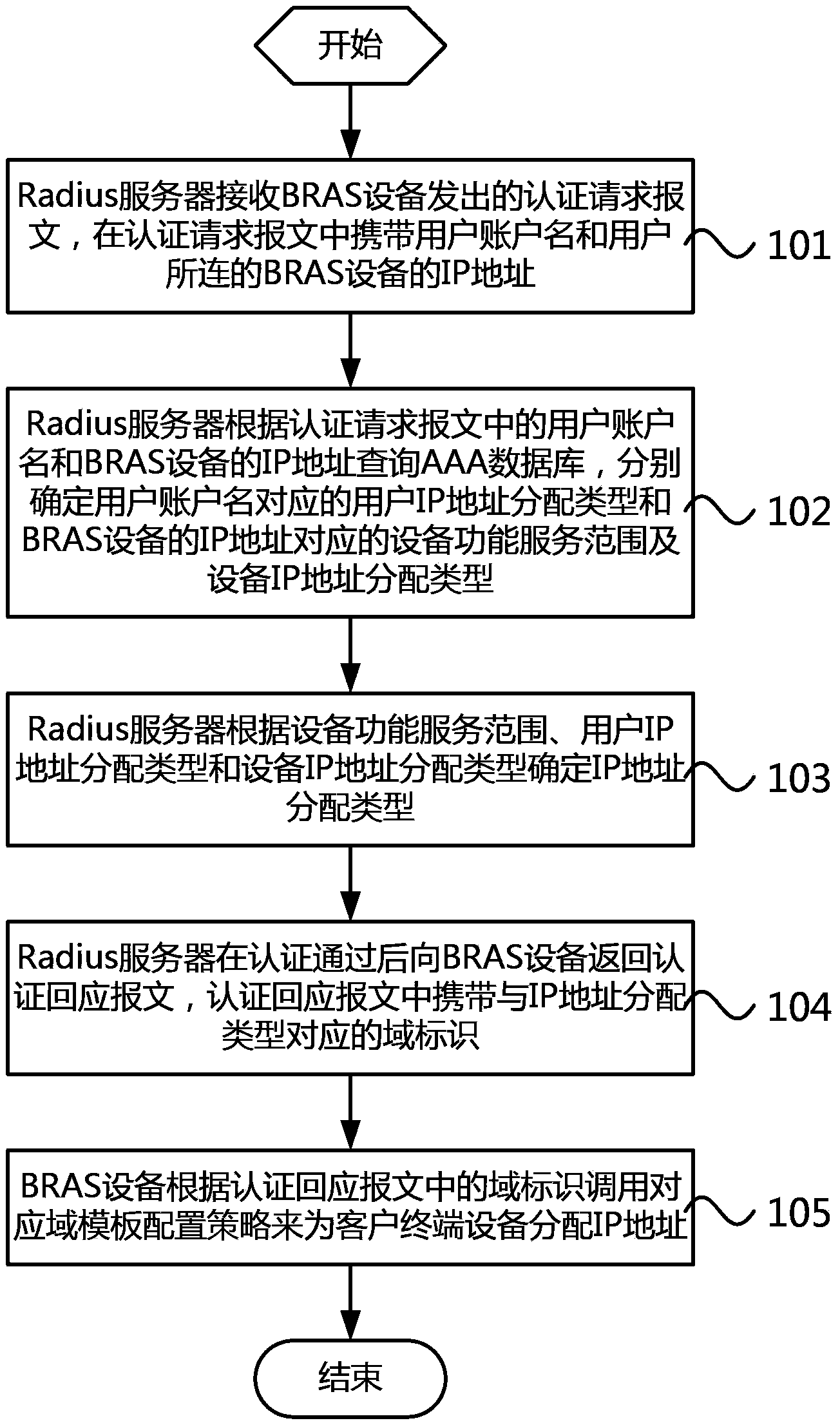 Address assignment method and address assignment system for intelligent access type decision, and AAA system