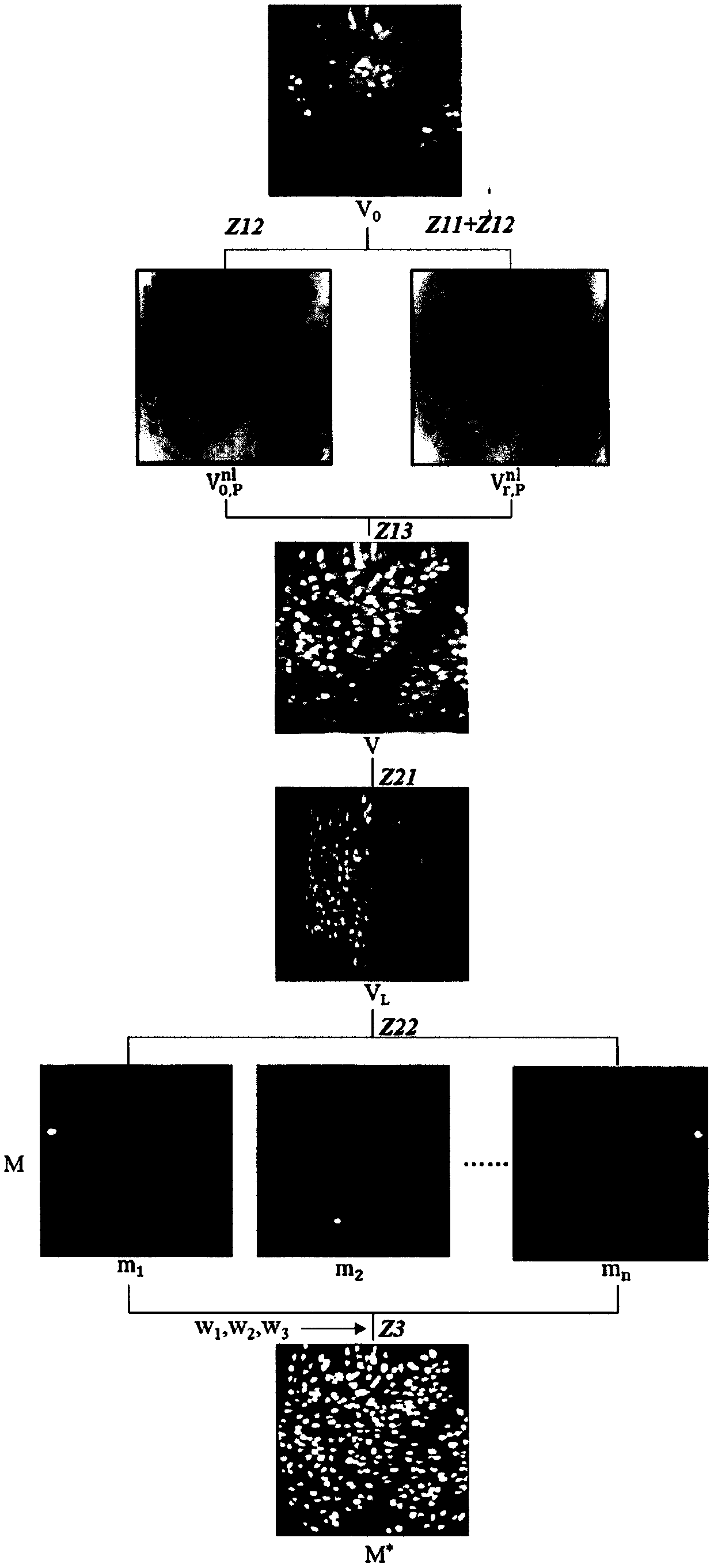 Neuron cell body automatic identification system based on fluorescence video