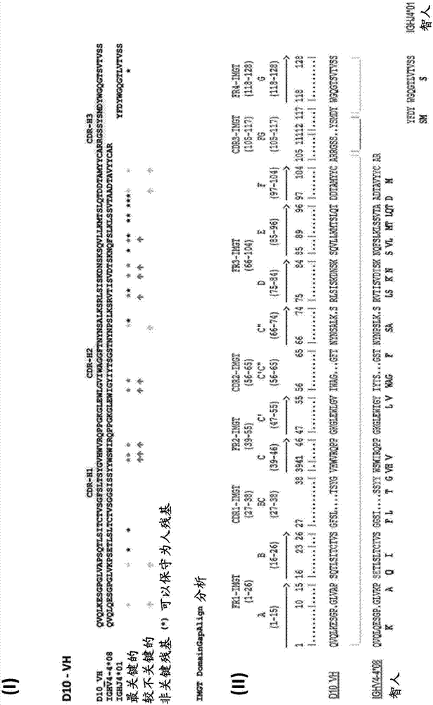 Ror1(ntrkr1)specific chimeric antigen receptors for cancer immunotherapy