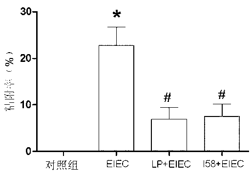 Protein sequence with enterocyte protective function and application thereof