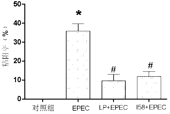 Protein sequence with enterocyte protective function and application thereof