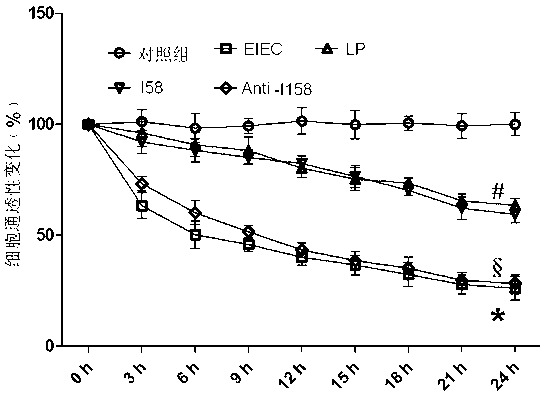 Protein sequence with enterocyte protective function and application thereof