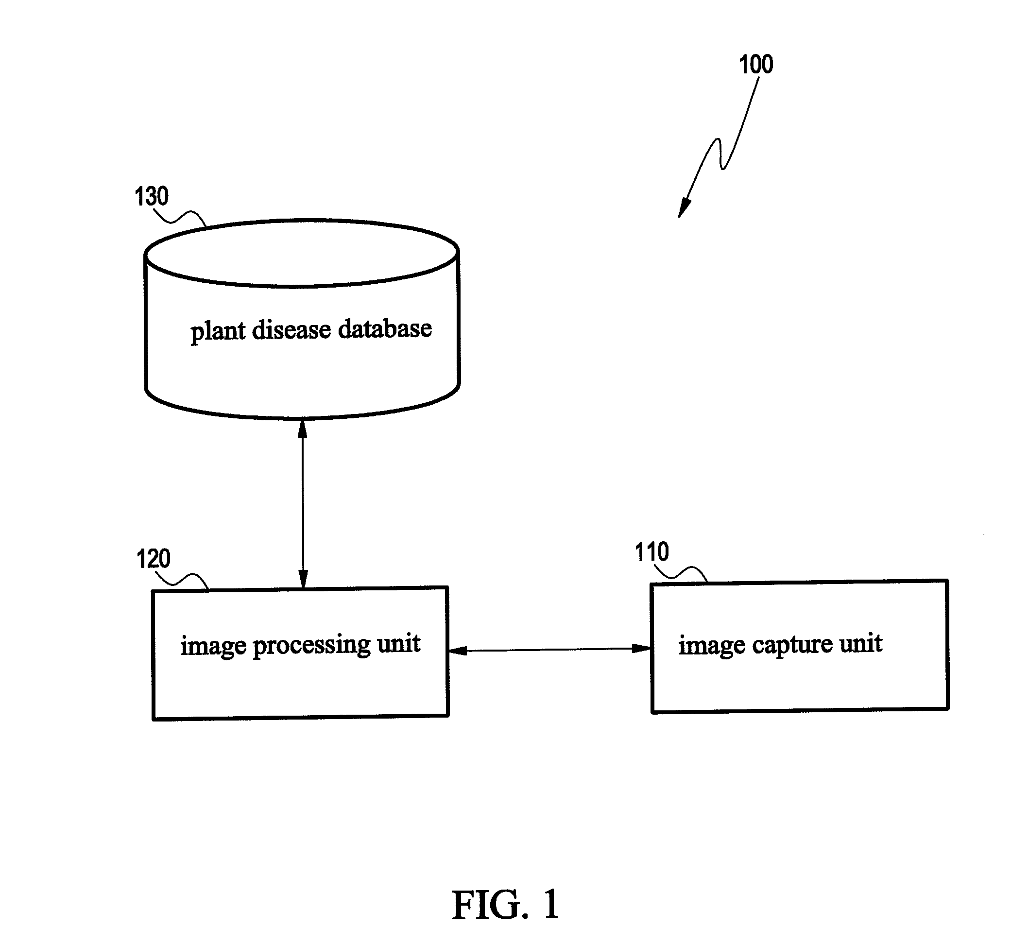 Method and system for recognizing plant diseases and recording medium