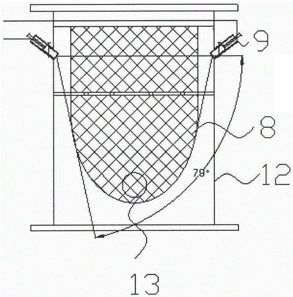 A visual device for cleaning rubber balls