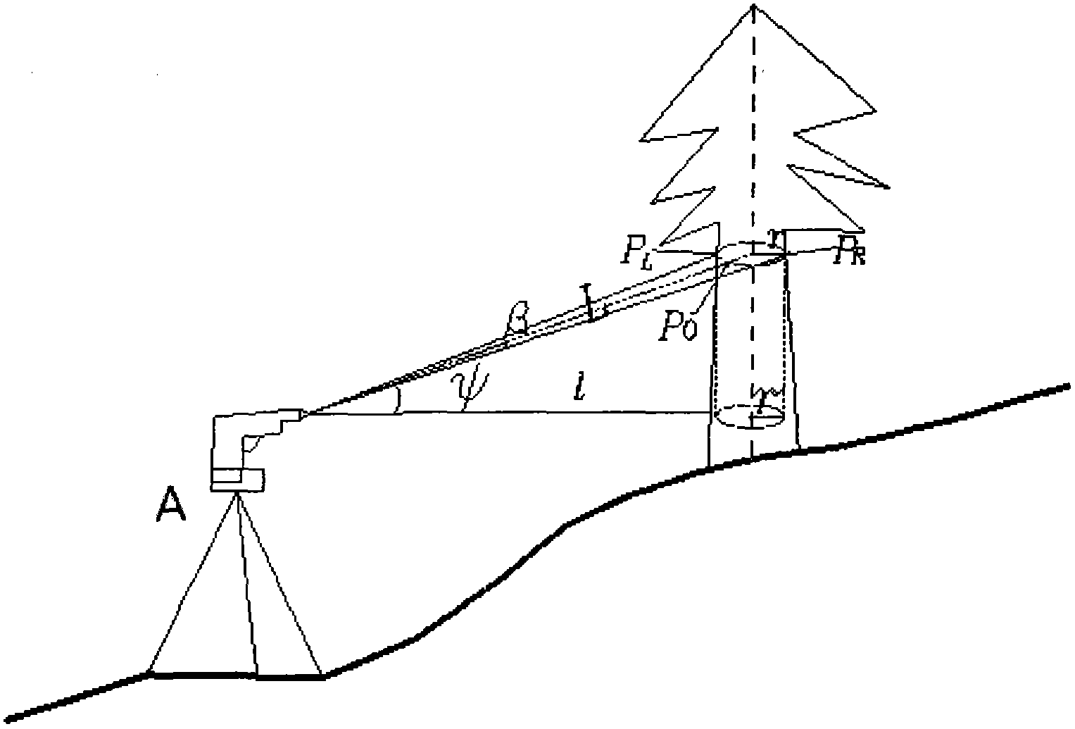 Method for measuring diameter at breast height of standing tree in fixed point angular distance mode