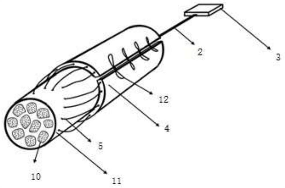 An implantable peripheral nerve electrode