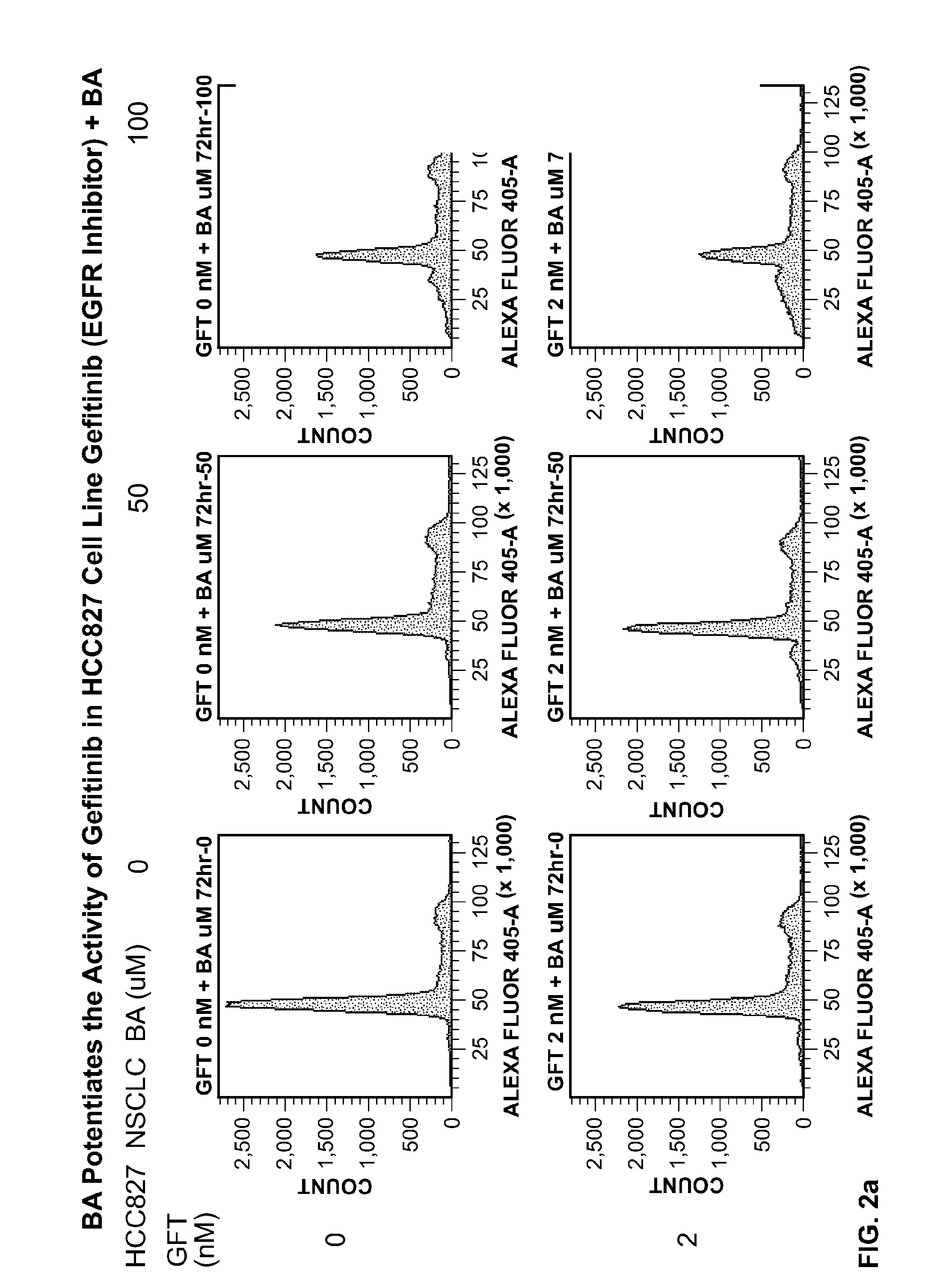 Treatment of lung cancer with a nitrobenzamide compound in combination with a growth factor inhibitor