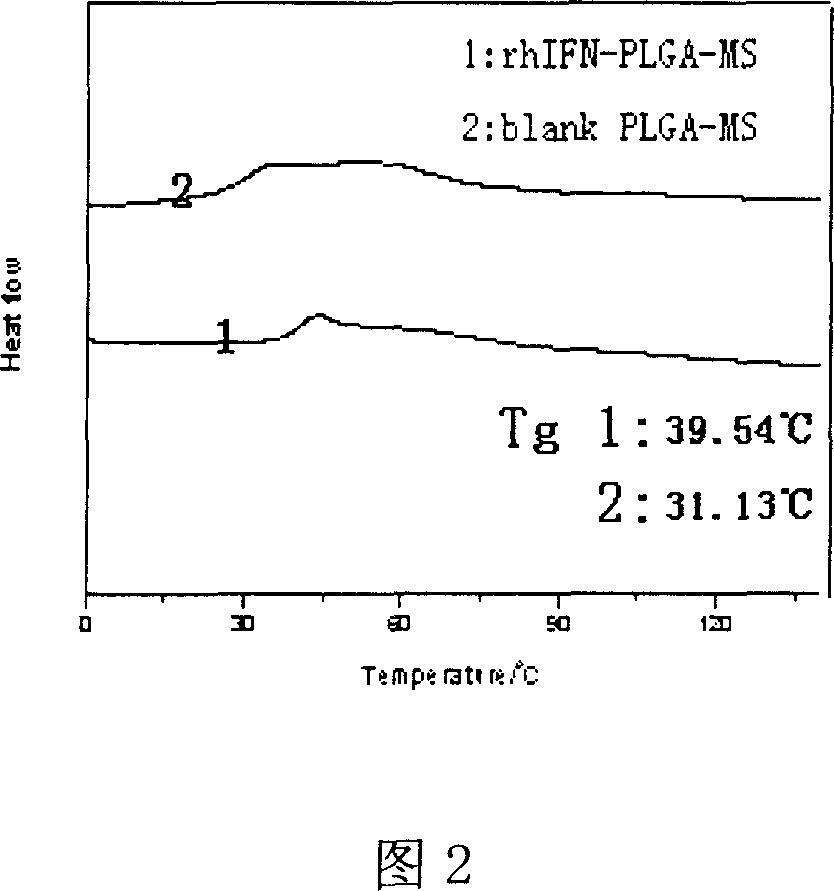 Method of preparing microsphere of ethoxyl copolymer PLGA in interferon poly acid