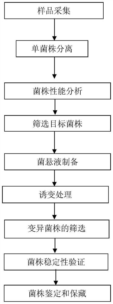 A kind of yeast and its application