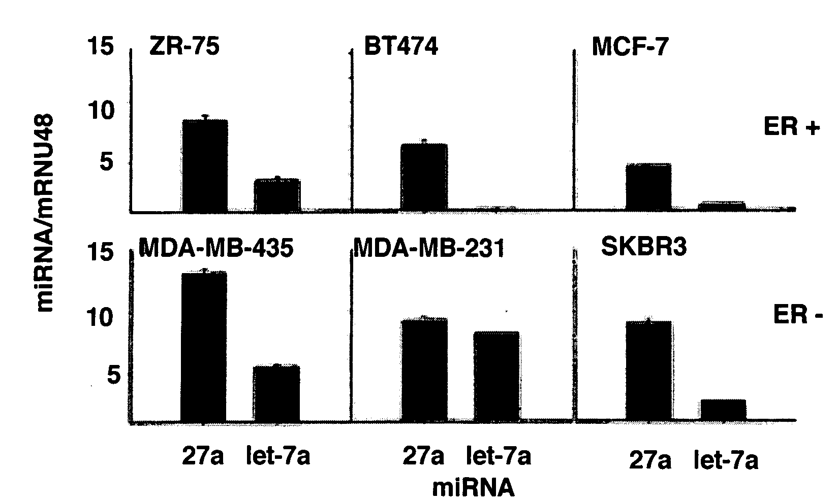 Antisense microRNA and uses therefor
