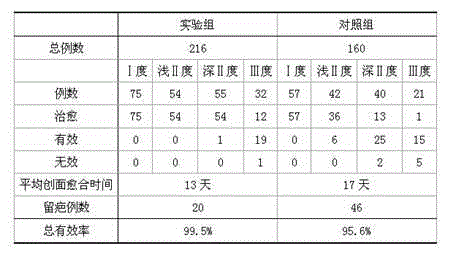 External application agent for removing burns and scalds scars and preparation method of external application agent