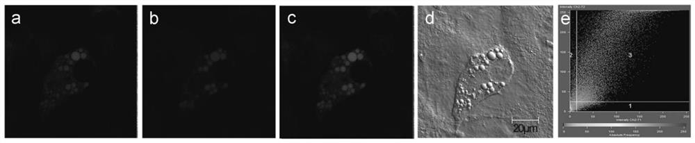 A ratiometric fluorescent probe for detecting bisulfite and its application