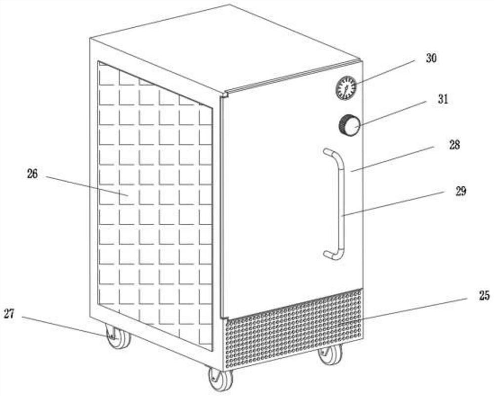 Cryopreservation box for kidney pathological specimens