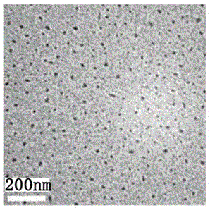 Method for preparing nano fluorescent probe with high bio-safety