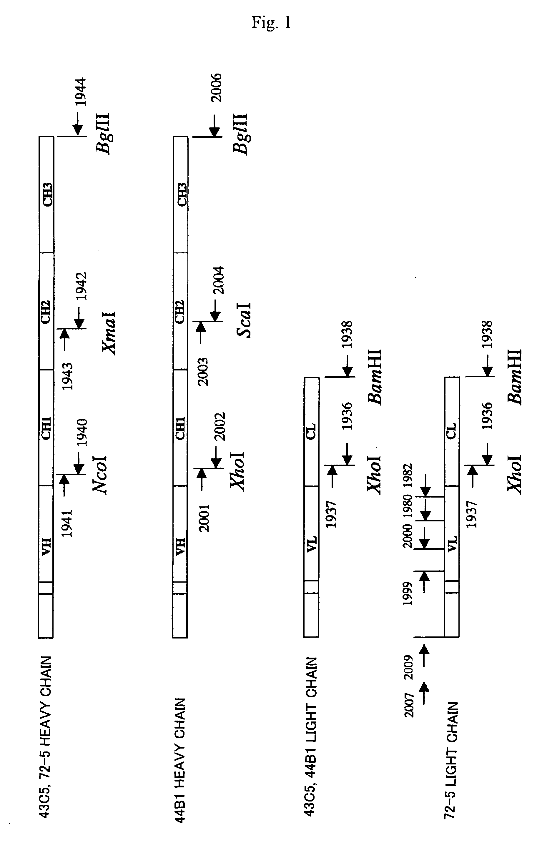 Remedy for prion disease and method of producing the same