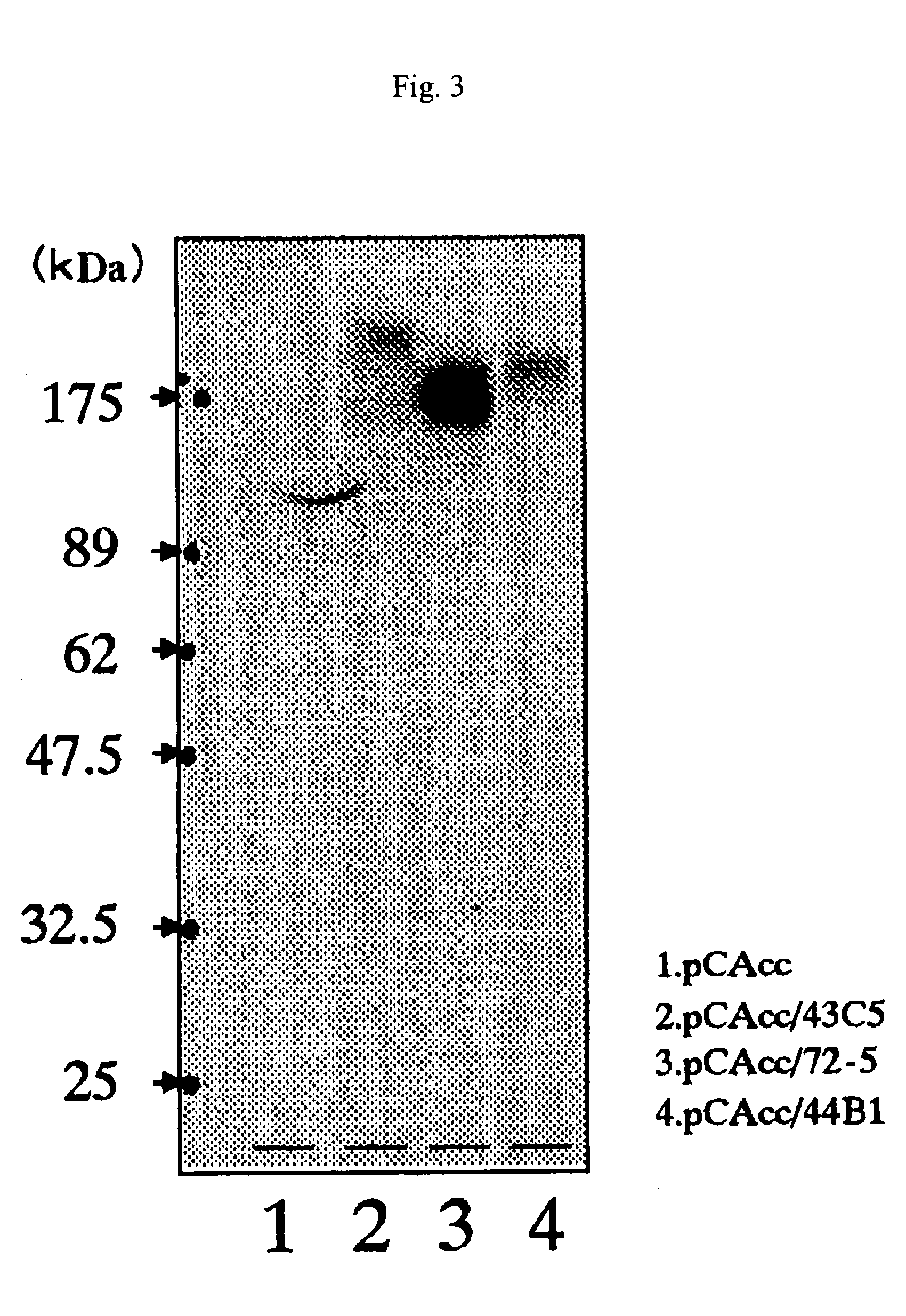Remedy for prion disease and method of producing the same