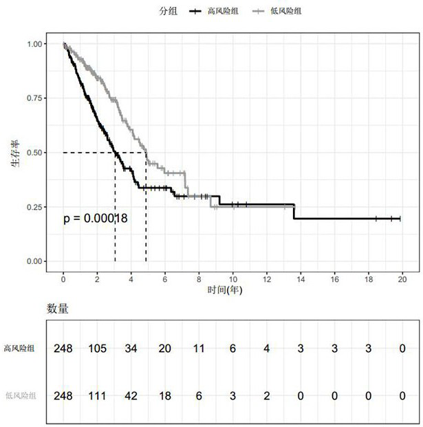 Prognostic marker and prognostic model of lung cancer and related applications