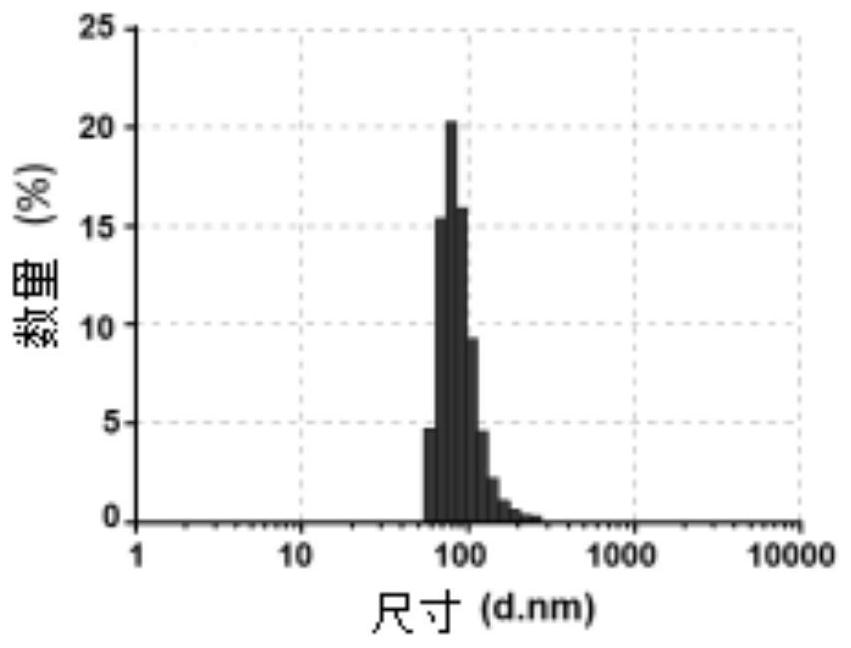 Composite, tissue repair material and preparation method and application thereof