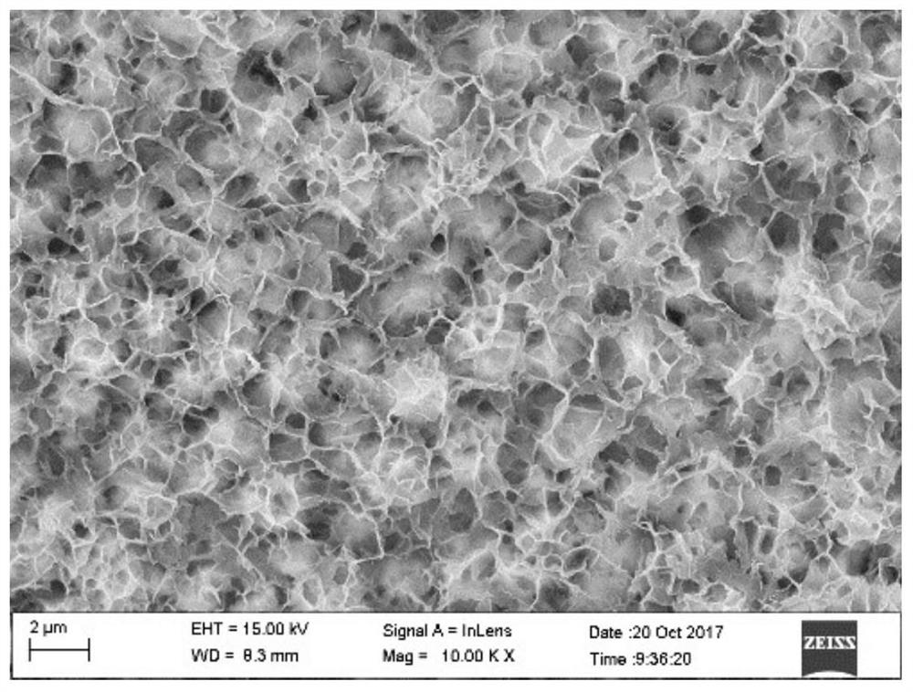 A lithium carbon dioxide battery pole piece without a binder and without a conductive agent and its preparation method