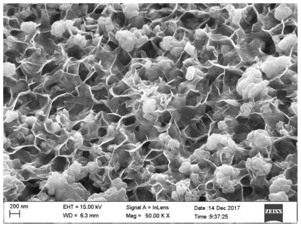 A lithium carbon dioxide battery pole piece without a binder and without a conductive agent and its preparation method