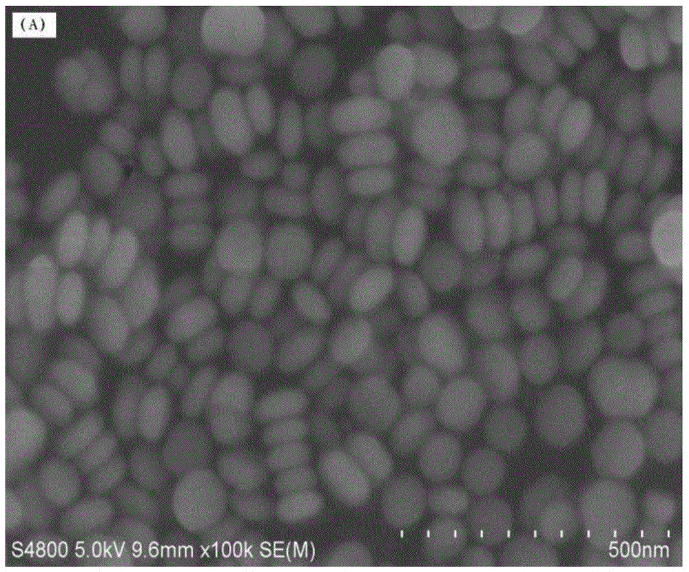 Rare earth-doped NaGdF4 upconversion nanocrystalline and preparation method thereof