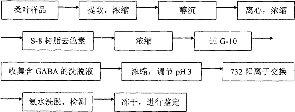 Method for extracting mulberry leaf gamma-aminobutyric acid and application thereof