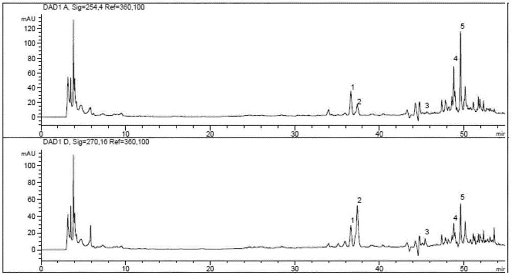 A method for rapidly detecting the content of index components in compound preparations of traditional Chinese medicine