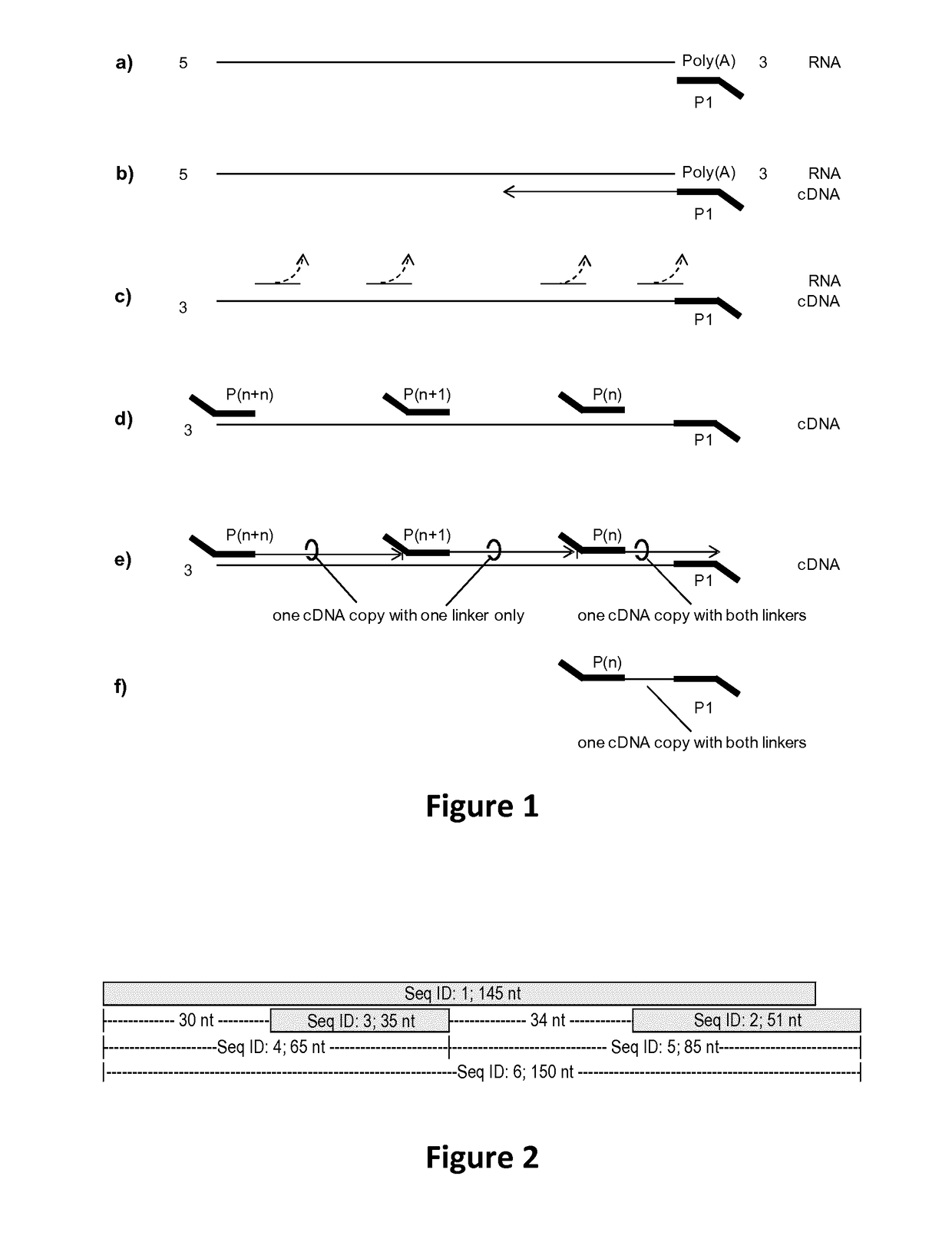 Copy number preserving RNA analysis method