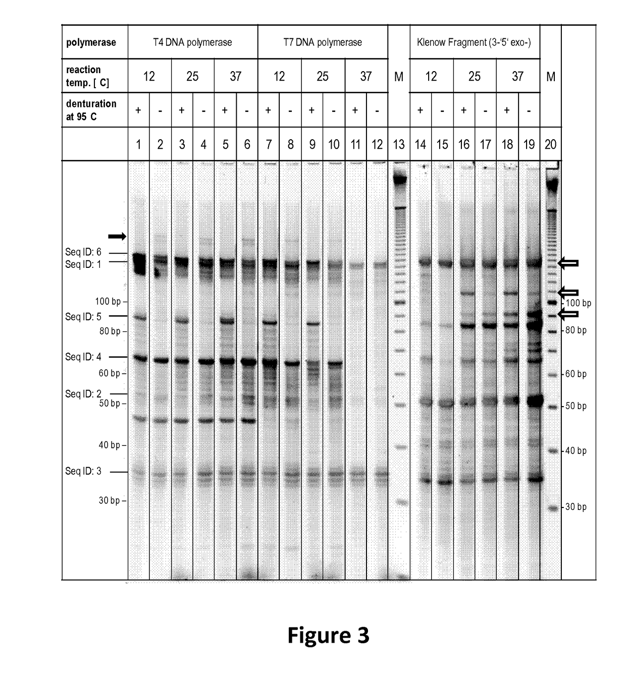 Copy number preserving RNA analysis method