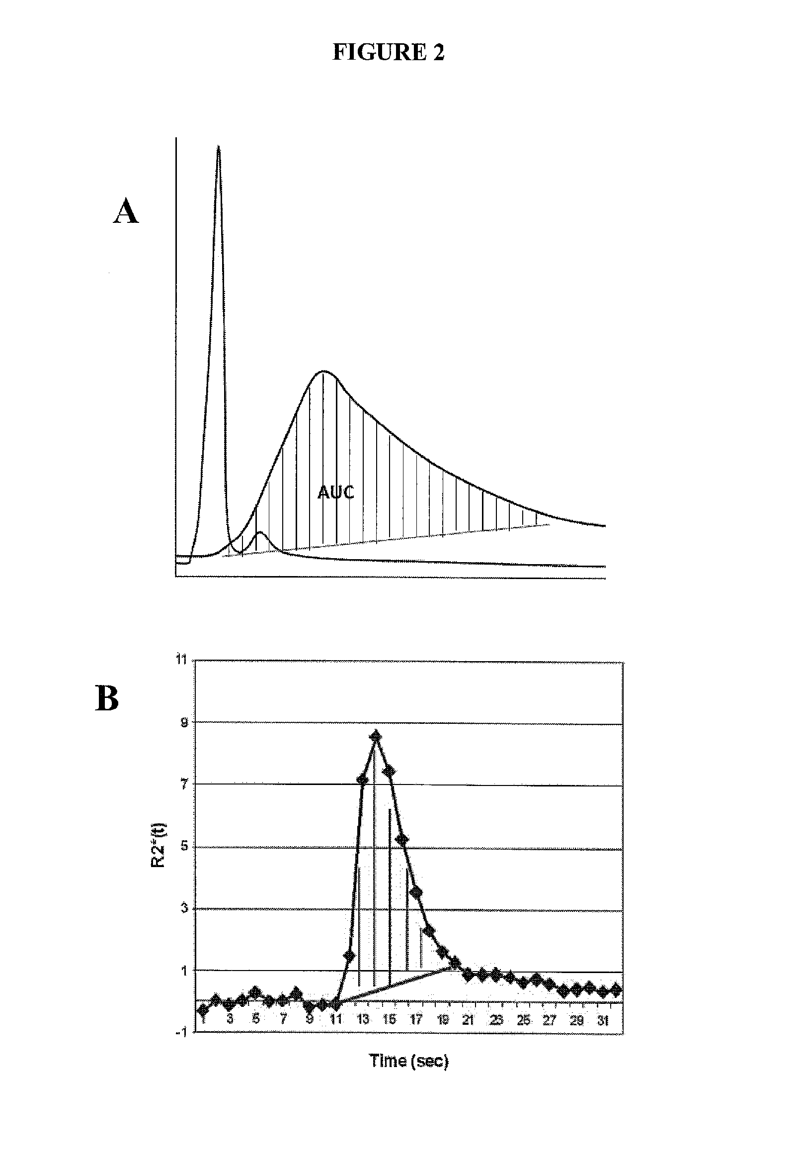 Targeted treatment of anerobic cancer